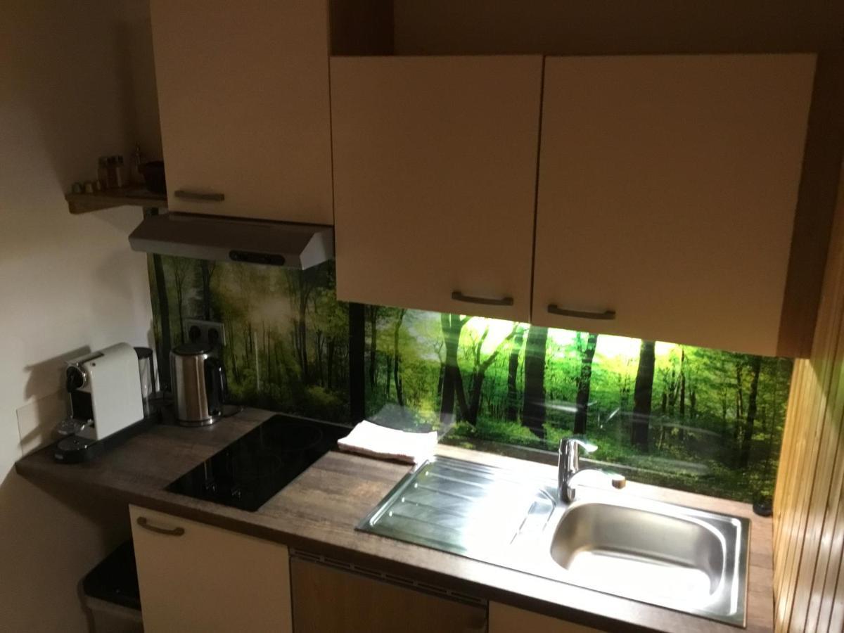Ferienwohnungen Aigner Haus im Ennstal Luaran gambar